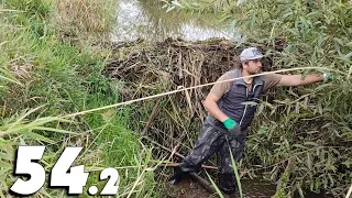 Large Amount Of Water - Beaver Dam Removal With Excavator No.54.2 - Tripod Version