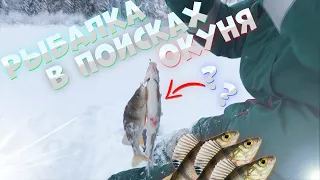 Рыбалка в поисках крупного окуня. Ловля на мормышку с опарышем на окуня 2021.