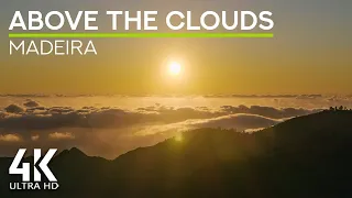 8 HRS Night Ambience - Crickets Sounds for Deep Sleep - Sunset View Above The Clouds, Madeira