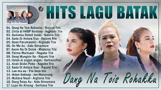 Lagu Batak Terpopuler 2024 Enak Didengar ~ Koleksi Lagu Batak Pilihan Terbaik