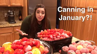 Canning 150lb of Tomatoes in January?!
