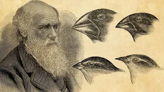 Charles Darwin history of life emotional and motivation storyline video