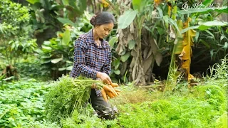 Cách ly 14 ngày ở nhà ăn cơm rau mẹ nấu ( Enjoy Mom's Meals During Quarantine ) I Ẩm Thực Mẹ Làm