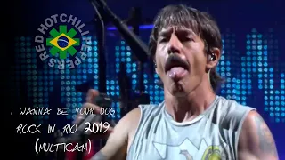 I Wanna Be Your Dog - Red Hot Chili Peppers @ Rock in Rio 2019 (MULTICAM)