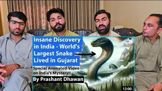 Insane Discovery in India Worlds Largest Snake Lived in Gujarat Vasuki Indicus #pakistanreaction