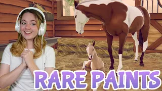 BREEDING RARE PAINT HORSES IN RIVAL STARS! | Pinehaven