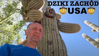 🤠 DZIKI ZACHÓD USA =  (1) Arizona-Tombstone (2) Kaktusy Saguaro (3) Organ Pipe NP (4) Anza Borrego