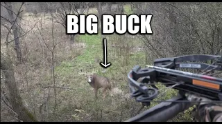 Kid Shoots BIG BUCK with crossbow! (no track job needed)