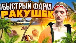 Как БЫСТРО нафармить РАКУШКИ на летнем ивенте GTA 5 RP! обновление летний фестиваль 2023 в ГТА 5 РП