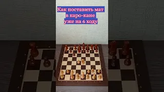 Разгромный каро-кан. Мат в 6. Вот что бывает, когда игнорируешь планы соперника. #shorts