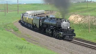 Union pacific 4014 on archer hill