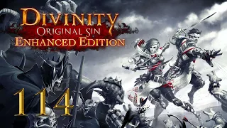 Divinity: Original Sin EE — Part 114 - The Spider Queen