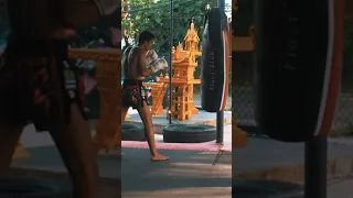 #shorts Panpayak Jitmuangnon "THE ANGEL WARRIOR" 😇⚔️  🇹🇭 I Muay Thai Bagwork I Fightlore Official