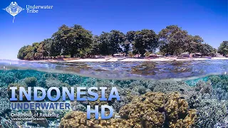 Underwater Indonesia