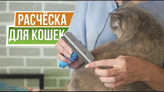 Забудьте про кошачью шерсть в доме ✿ Как выбрать расчёску для кошки