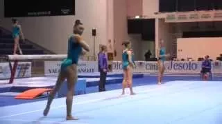 Kyla Ross FX - 2015 (Clear Music)