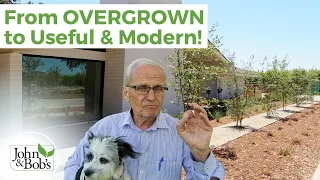 Garden Renovation | Overgrown to Modern Landscape Design (Before & After)