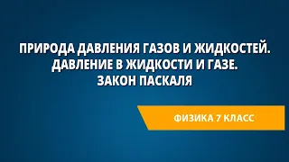 Природа давления газов и жидкостей. Давление в жидкости и газе. Закон Паскаля.