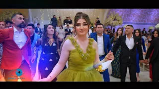 Ziyad & Suzan | Wedding | Honer Kandali | part 2 | by Cavo Media