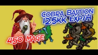 Cobra Bastion 450 Mage - Best exp