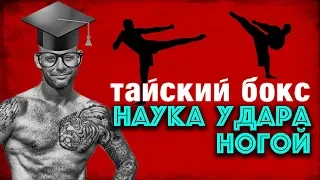 Наука удара ногой в муай тай | Тайский бокс