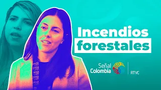 ¿Cuáles son las CAUSAS de los INCENDIOS FORESTALES?