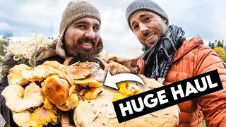 EPIC Mushroom FEAST with a Romanian Bear-Man