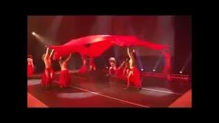 Testa Dance Show - Полотна