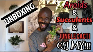 Plant Unboxing & Real Talk | Potted Elephant & Botanicarus