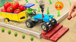 Diy tractor making mini concrete bridge for heavy tractor harvest tomato fields | @SunFarming