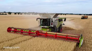 4k Claas Lexion 8900 TT in Suffolk - Another segment of a previous video now available in 4k Video