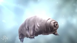 Tardigrades Are Hard AF!