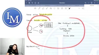 Vitaminas Parte 2 | Vitaminas Hidrosolubles