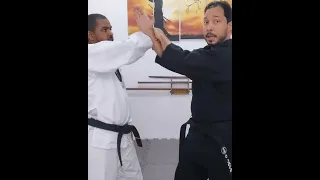 Bunkai Bassai Dai: Kote Mawashi #1