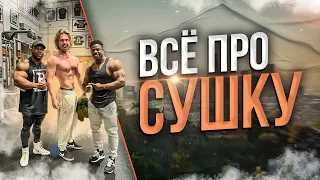 Всё про сушку - секретный режим | Aesthetic Life