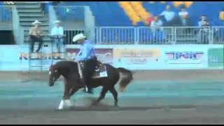 NRHA European Derby - Bernard Fonck On Sail On Top Whizard - Go score 222