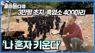 “농촌이 희망이다! 부모 형제 모두 포기했던 목장을 20년간 홀로 지켜냈습니다”┃해발 700m 위 나홀로, 흑염소 400마리와 살아가는 남자┃한국기행┃#골라듄다큐