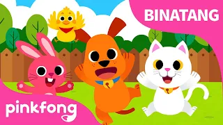 Bayi Binatang | Lagu Binatang & Hewan | Lagu Anak Bahasa Indonesia | Pinkfong dan Baby Shark