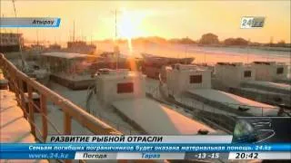 Развитие рыбной отрасли в Атырауской области