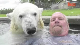 Единственный человек в мире, который может плавать с белым медведем