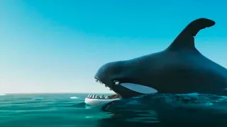 Penguins & shark commercial