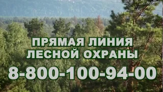 ОТВ-Приморье - о природных пожарах в Приморском крае