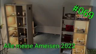 Alle meine Ameisenkolonien stand 2.4.2022