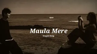 Maula mere - Anwar (slowed + reverbed)
