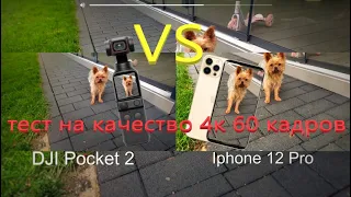 DJI Pocket 2 VS Iphone 12 PRO Сравнение што снимает лутше 4к 60 Кадров