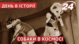 День в історії: Собаки в космосі