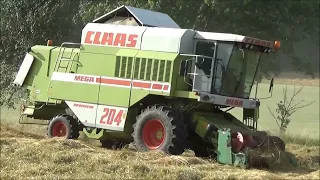 Žně 2023- Claas Mega 204 a Lexion 550 sklizeň kostřavy