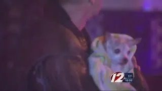 Man Saves Self, Chihuahua from Providence Fire