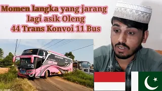 Momen langka yang jarang ditemukan Beberapa bus lagi asik Oleng 44 Trans Konvoi BUs #Pakistani react