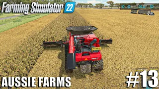 Harvesting SUNFLOWERS and Selling 600K GRASS SILAGE | Aussie Farms 22 | Farming Simulator 22